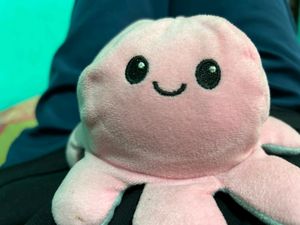 Octopus