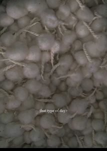 Pooja Cotton Wicks
