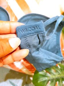 🛑Enamore Multi-way Bra