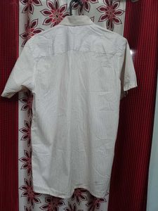 Raymond Shirt