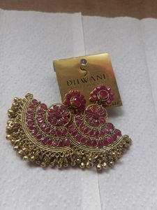 Very Elegant Earrings