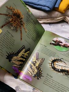 our world 🌎 🌍 Book 📖