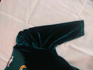 Velvet Crop Top By Ginger