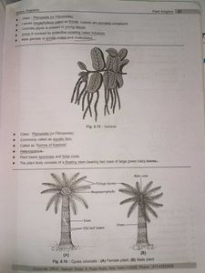 Aakash BYJU&#39;S Class XI Botany &amp; Zoology