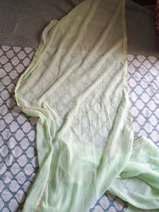 Pista Green Georgette Suit