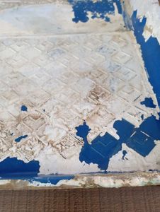 Painting Tray Purchased Two Months Ago