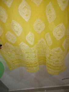 New Lucknavi Chickenkari Kurtis (2)