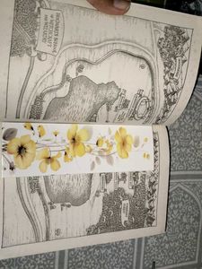 Harry Potter Book Set(3)