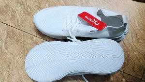 Shoe