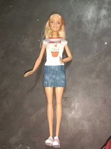 Barbie Doll with Accessories