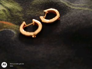 Beautiful Gold Demifine Earrings