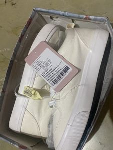 Roadster Canvas Shoes Unisex