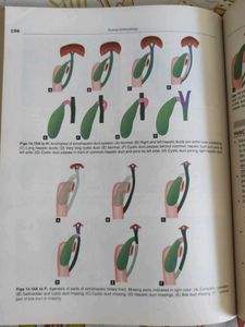 Human Embryology Book