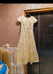 Elegant Ethnic Gown (ALMOST 🆕)