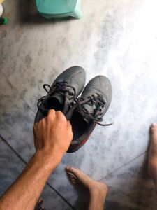 Adidas Deportivo ll