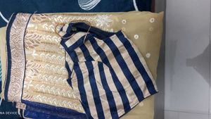navy blue embroidery saree