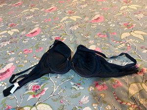 Wired Padded Bra By Blush