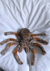 Spider Plushie