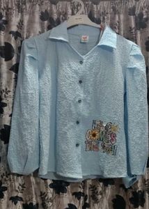 Vintage Light Blue Button Down