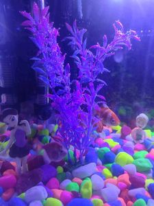 Fairy Garden Figurines (Set of 6)