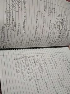cell the unit of life notes