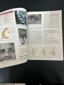 EAR, NOSE, THROAT TEXTBOOK