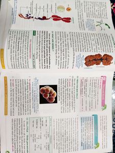 Class 10 ICSE Physics Chemistry Biology Books