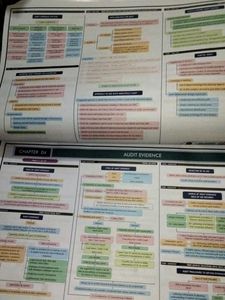 Ca Audit Chart Book For Inter