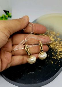 Pearl Drop Earnings