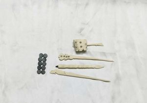 Sea Shell Hair Clip