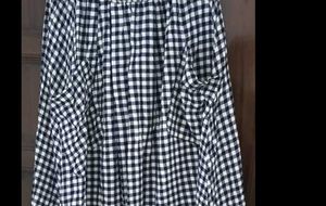 Checked Valerie Stevens Skirt