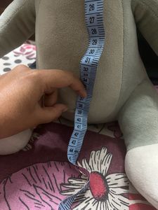 Tom Soft Toy