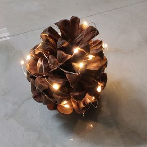 1 Pine Cone And Battery LED Light