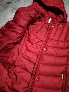 arnold palmer Red Padded Jacket with Hood