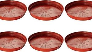 Plant Pot Plate 6 Set
