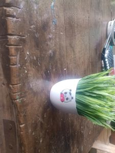 Cute ♥️😜 Artificial Pots Of 3 Pieces