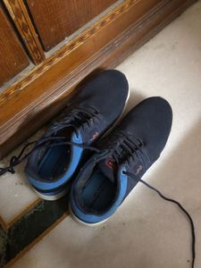 Campus Navy Blue Shoes Brand New Worn Once
