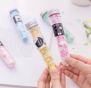 Cute Paper Soap Tubes - (Pack Of 6)