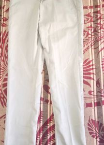 Men's Grey Casual Pants