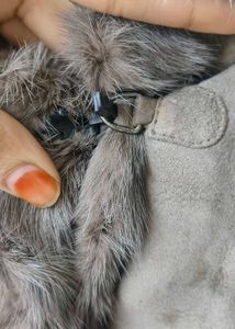 pure  Fur lather Trimmed Coat