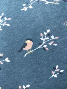 Price Reduced - For Today Only 🐦