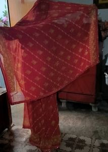 Red &amp; Gold Sari