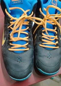NIKE Shoe