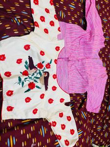 Combo Of 2 Blouse