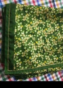 Beutiful Shining Saree