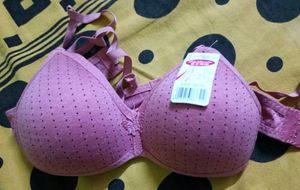 Black And Pink Padded Bra