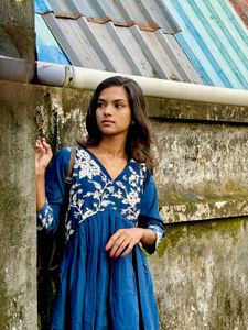 Blue Embroidered Dress