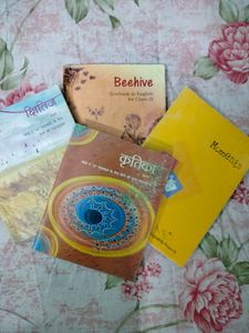 Ncert Class 9 English & Hindi Combo