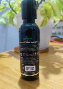 Mcaffeine Cappuccino Coffee Shampoo