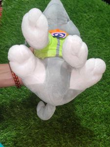 Big Size Paw Petrol